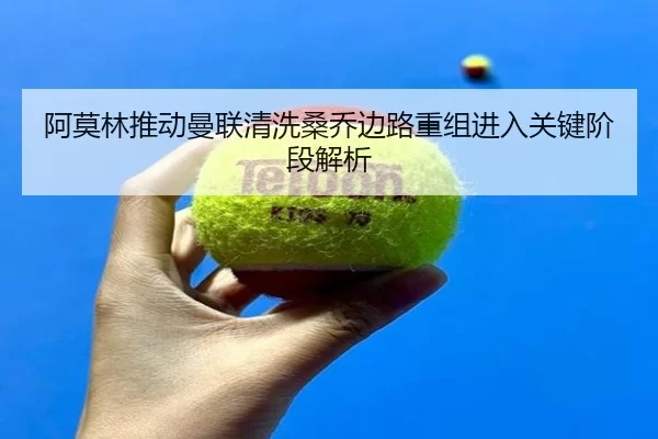 阿莫林推动曼联清洗桑乔边路重组进入关键阶段解析